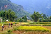 Mai Chau Vietnam: À la découverte dune belle vallée du Nord en 7 questions