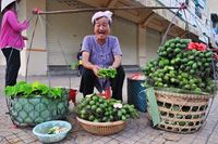 Chique de bétel et les sourires rouges des aînés vietnamiens