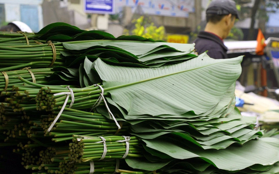 Bánh chưng, l’emblème culinaire de la fête du Têt vietnamien
