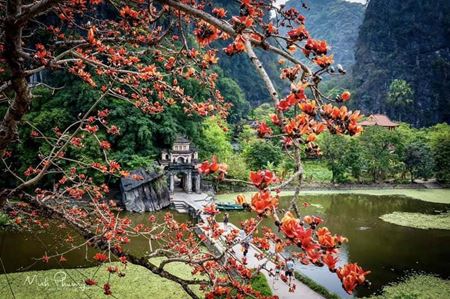 Pagode Bich Dong, lieu de spiritualité dans la baie d’Halong terrestre