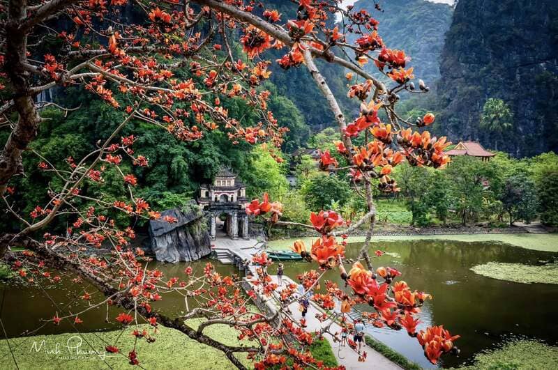 Pagode Bich Dong, lieu de spiritualité dans la baie d’Halong terrestre