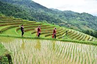Top 9 des meilleurs endroits pour le trekking au Vietnam hors des sentiers battus