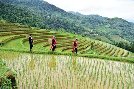 Top 9 des meilleurs endroits pour le trekking au Vietnam hors des sentiers battus