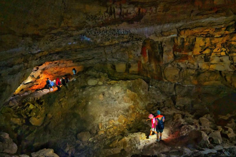Grotte aux Chauves-souris - Pic Tien Son