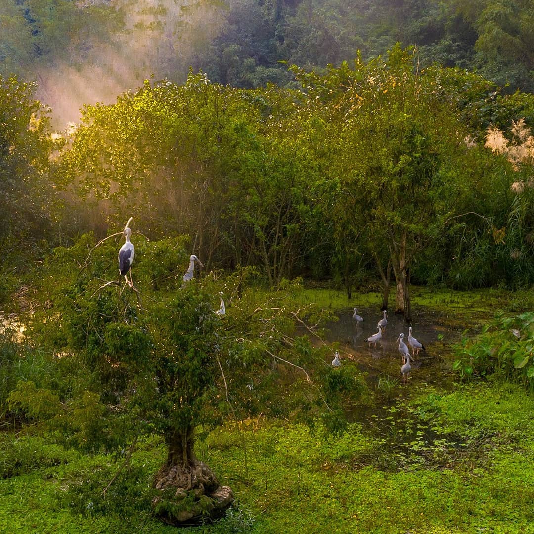 parc de Thung Nham (que faire et que voir à Ninh Binh)