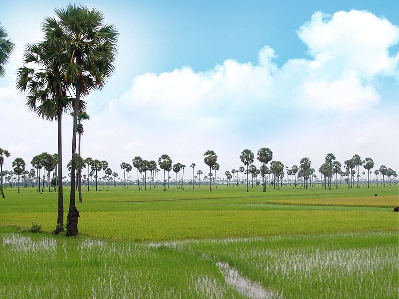 Kampot