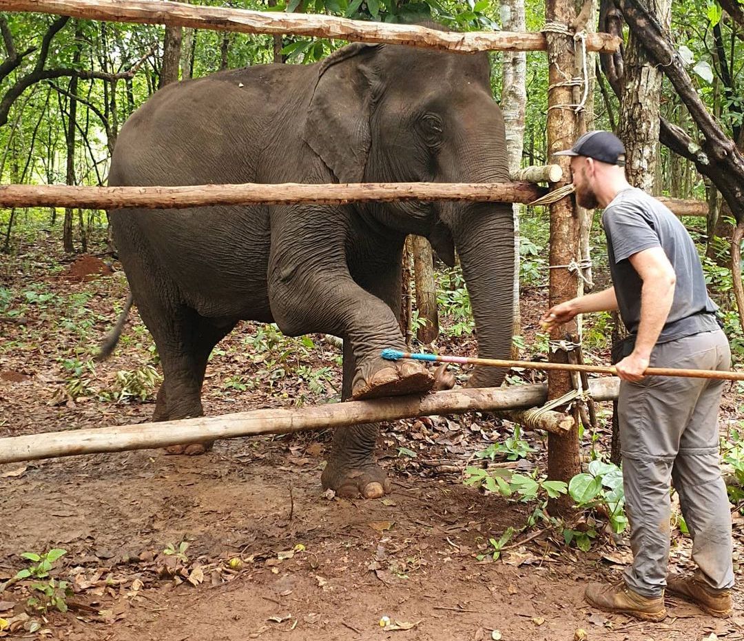 Elephant Valley
