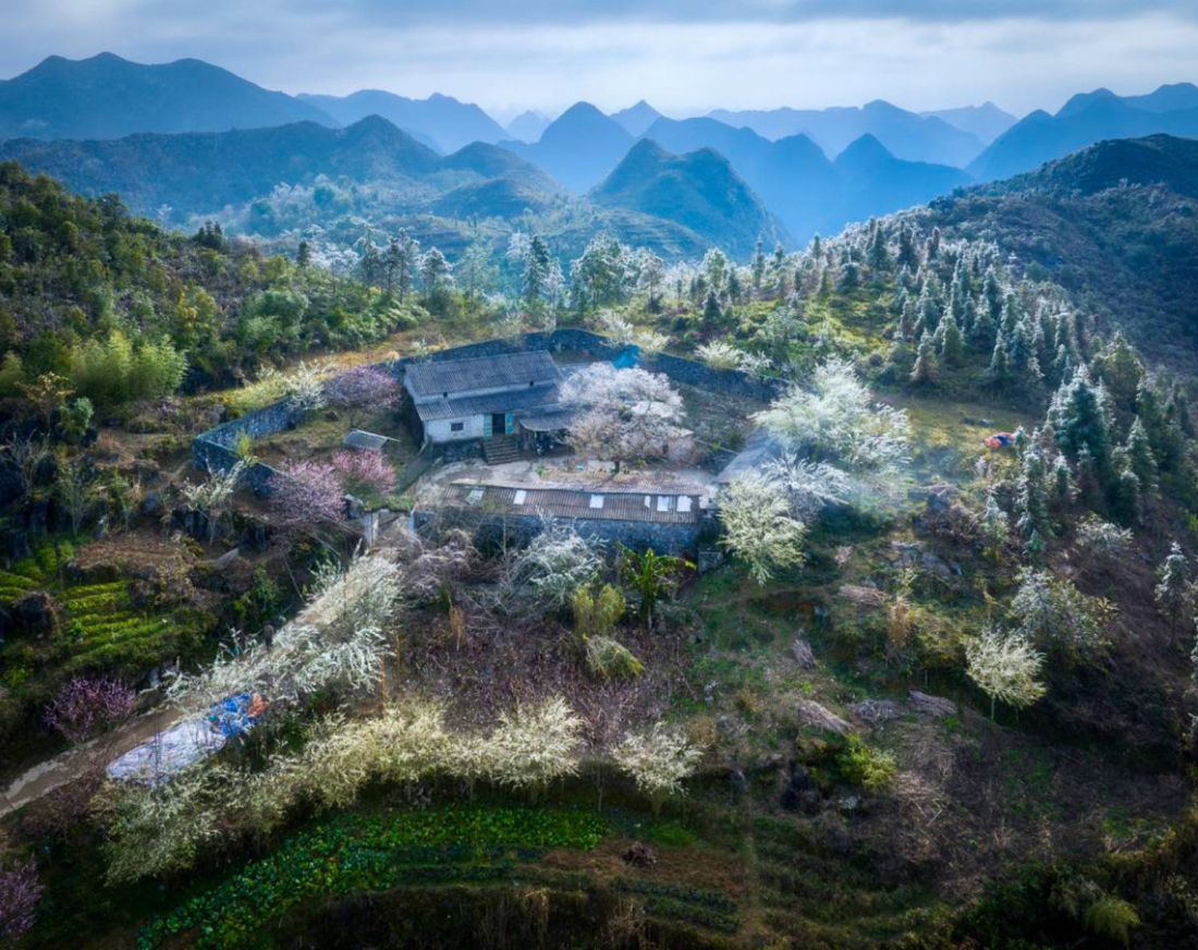 Ha giang