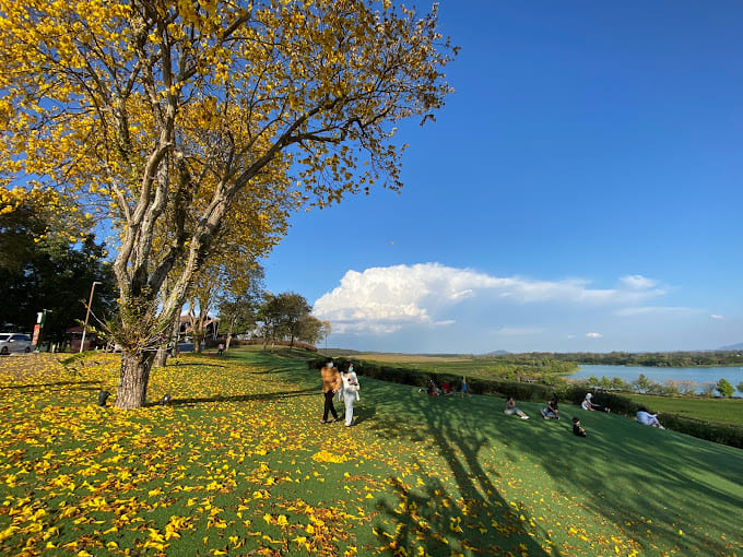 Parc Singha