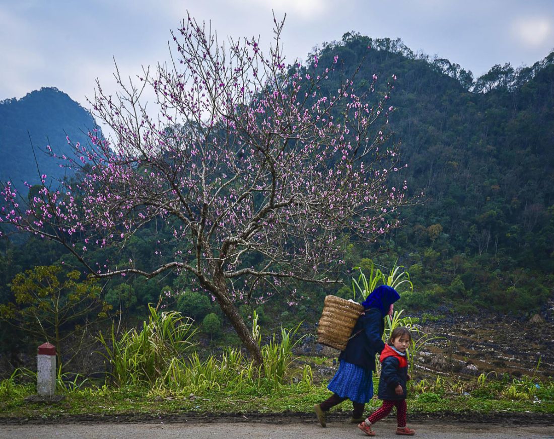 Ha giang