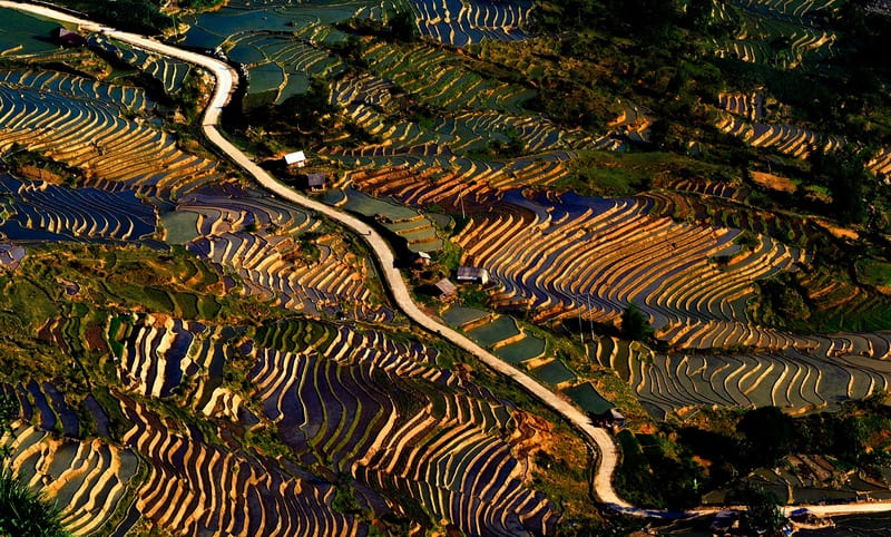 Nord Vietnam, saison de mise en eau, rizière en terrasse