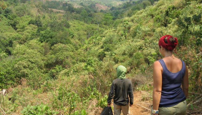 Randonnées pédestres à Ratanakiri