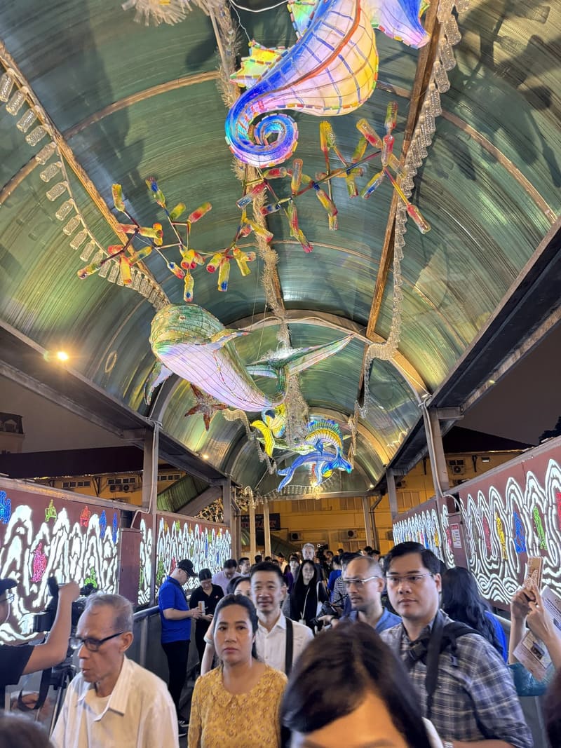 Visite du pont Tran Nhat Duat