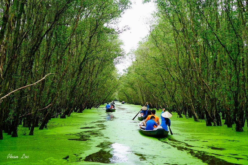 le foret de Tra Su Sud du Vietnam