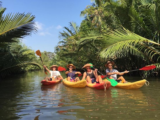 Excursion en canoë dans la mangrove