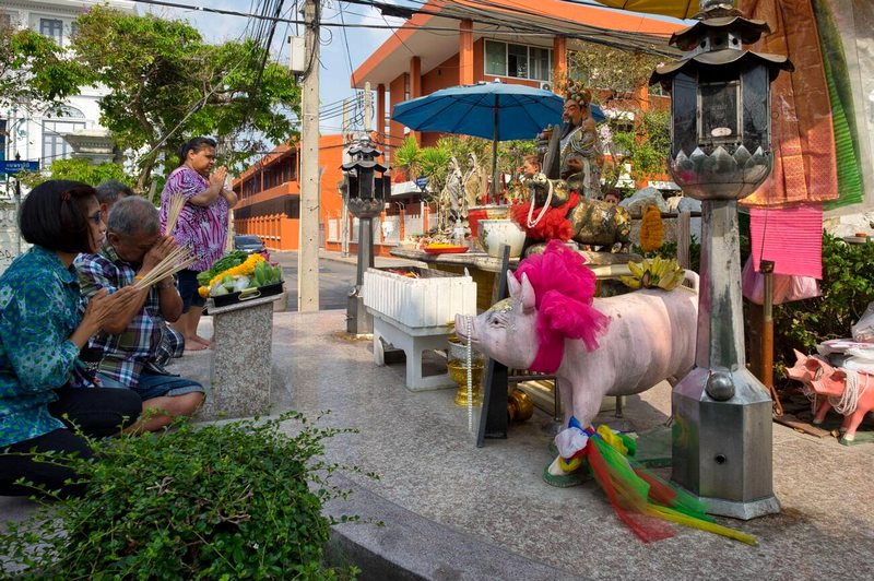 Prier au sanctuaire du cochon