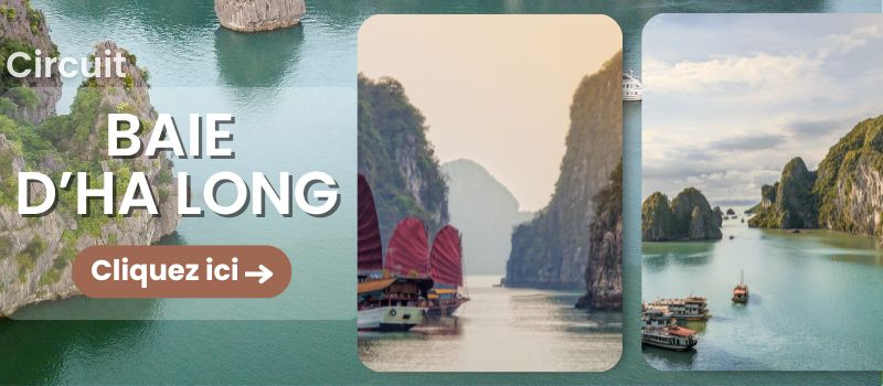 BANNER TOUR HALONG