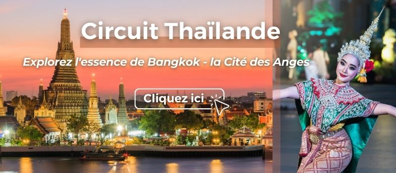 circuit thailande pour manger les fruits