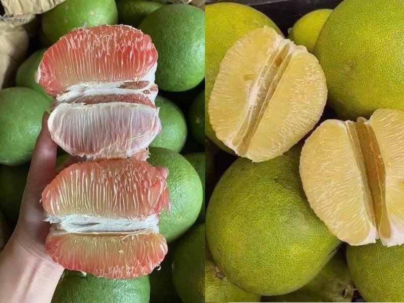 Le pomelo