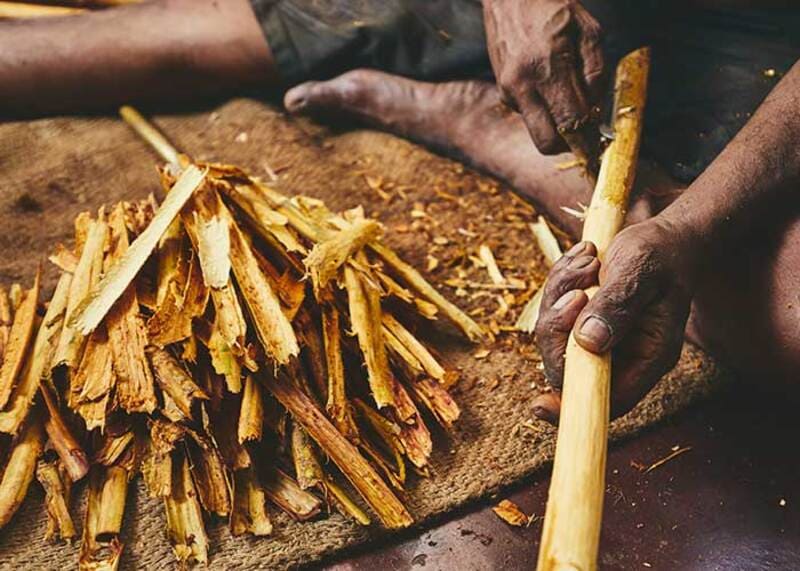 Cannelle du Sri Lanka