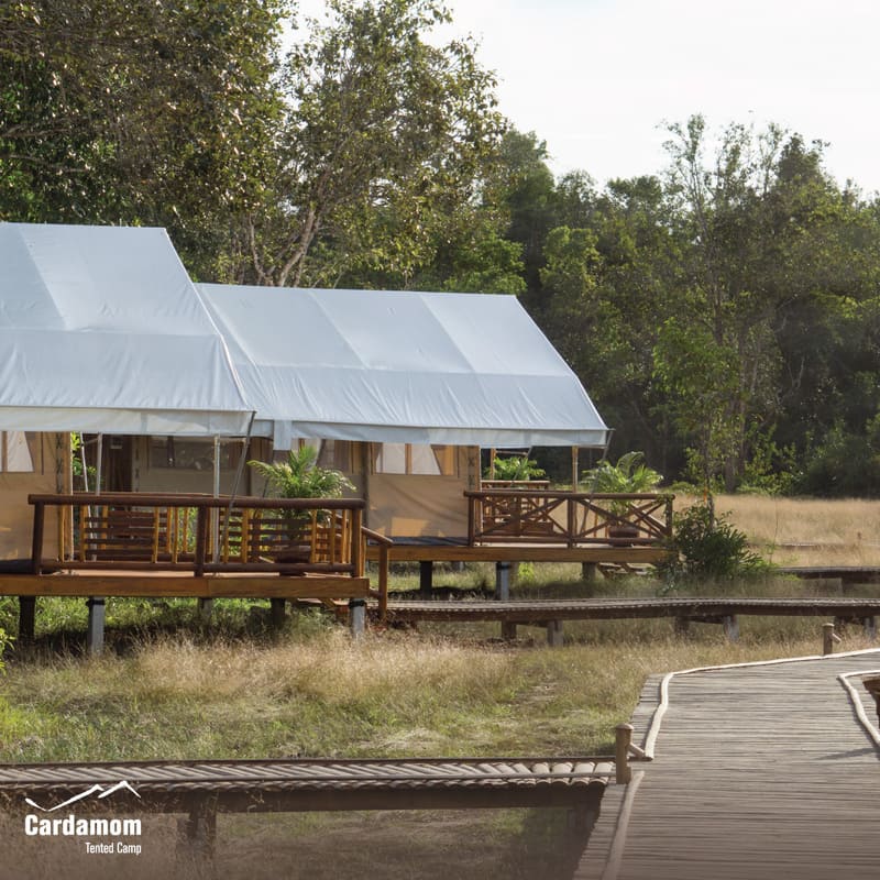 Cardamom Tented Camp