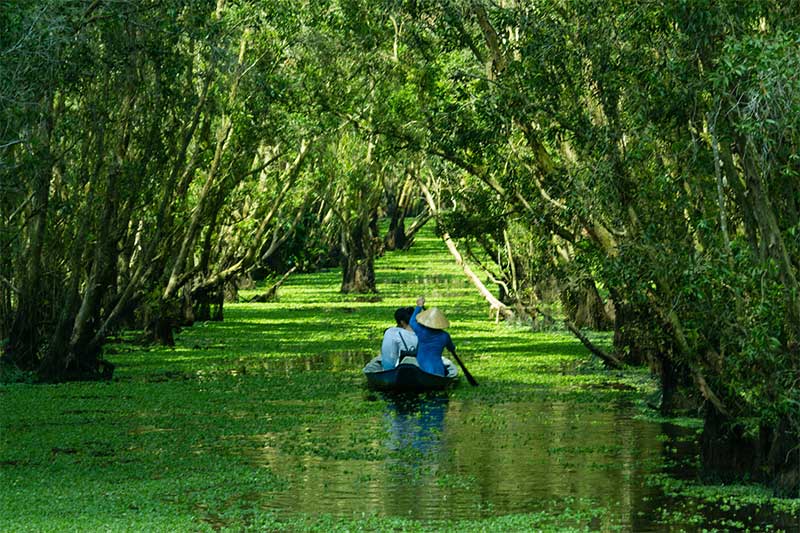 Forêt de cajeputier Tra Su