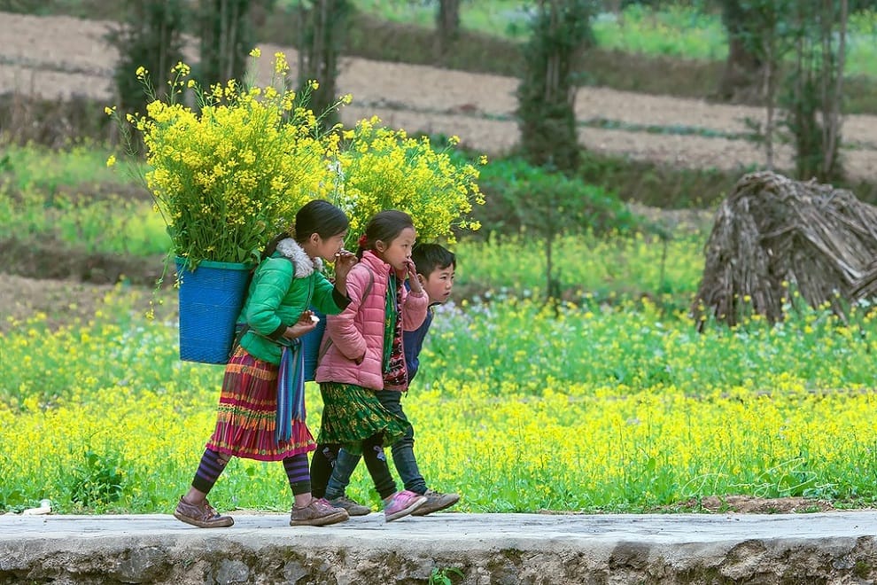 trek ha giang