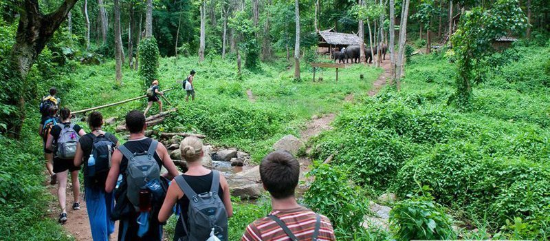 la randonnée dans la foret nationale de cuc phuong