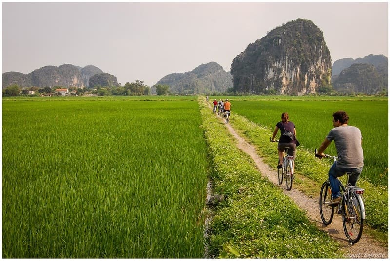 baie dhalong terrestre