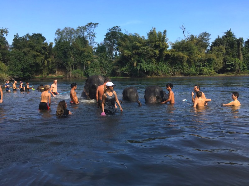 Elephant world