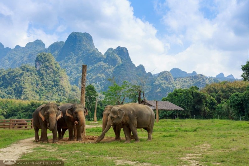 elephanthills