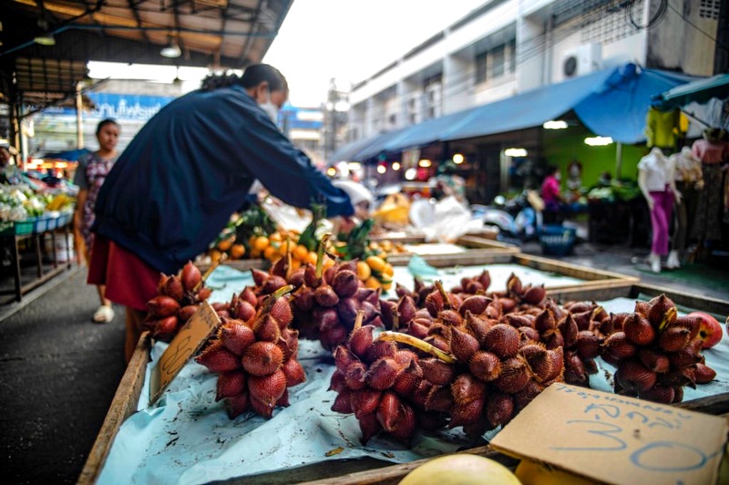 Fruit de serpent thailande