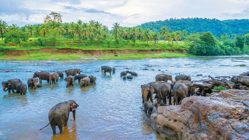 Province Sabaragamuwa
