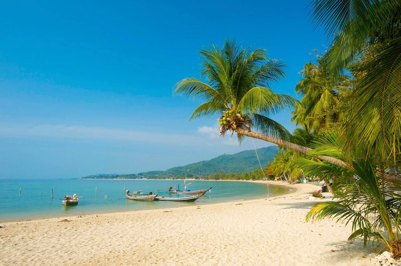 Profitez de moments de détente sur la plage de Lamai