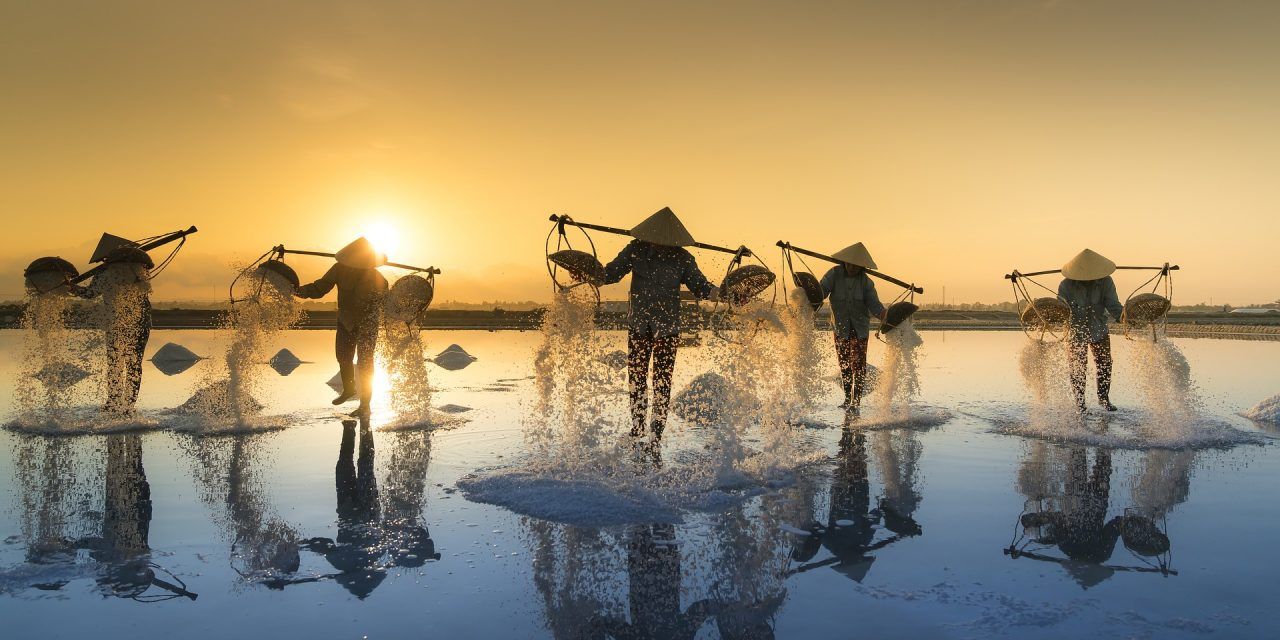 Voyage en automne, Vietnam, preparation