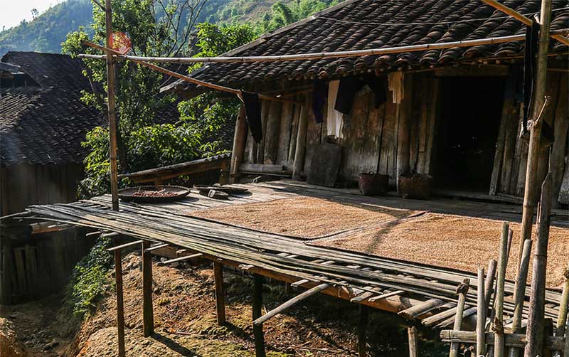 Un peu plus près la maison des Lolos noirs