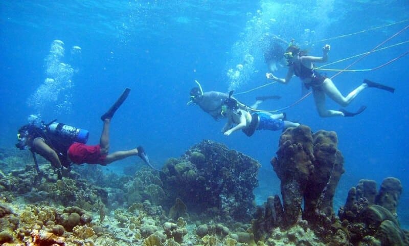 Plongée à Koh Rong