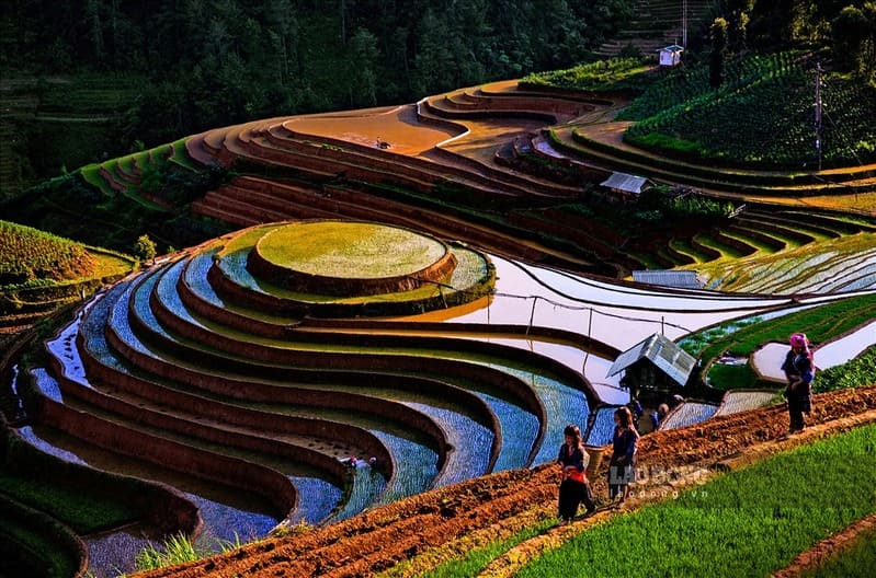 La saison des eaux à Mu Cang Chai