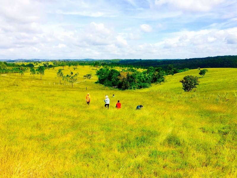 Mondulkiri