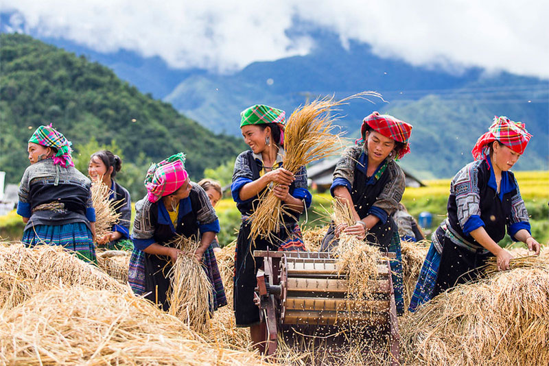 Les Hmong à Mu Cang Chai