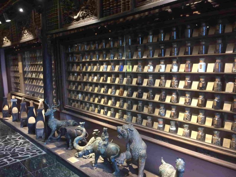 Musée de la Médecine et de la Pharmacie Traditionnelle
