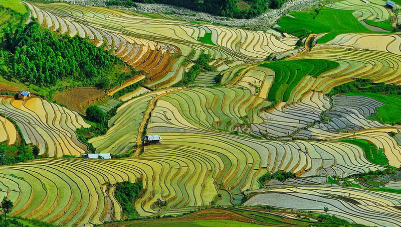 nord vietnam
