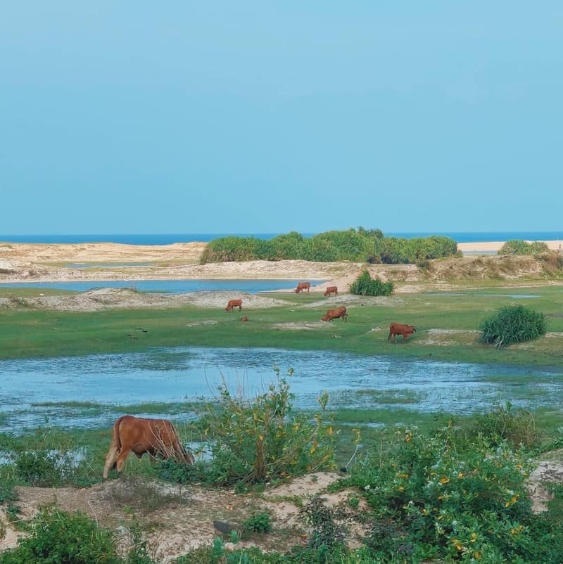 Phu Yen vietnam