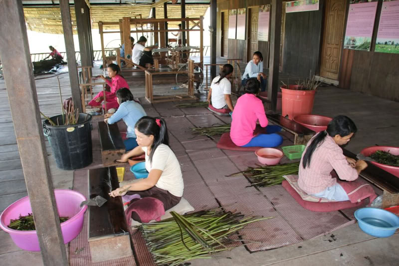 Les femmes tissent la fibre de lotus à la Lotus Farm 