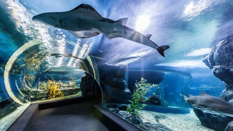 Ocean World Siam Paragon
