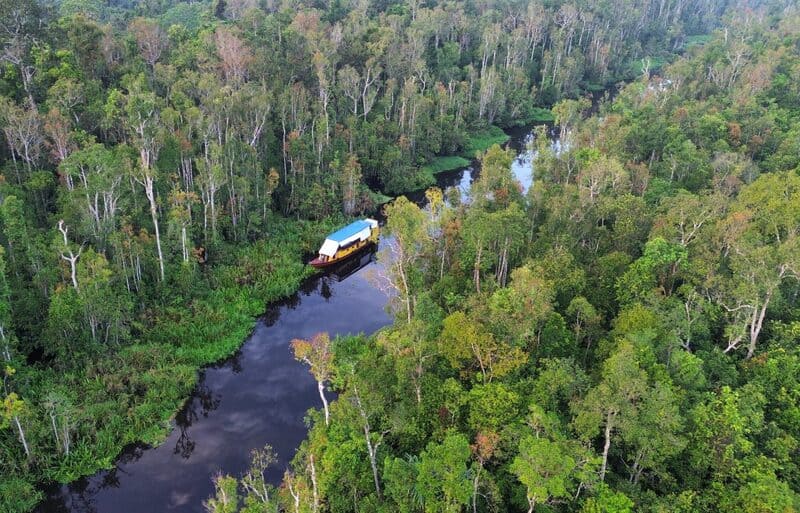 Indonésie, Tanjung Putting, parc national