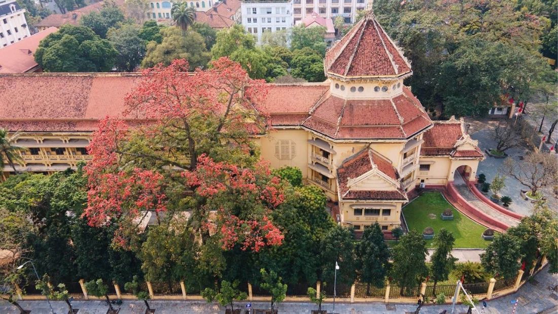 fleurs hanoi