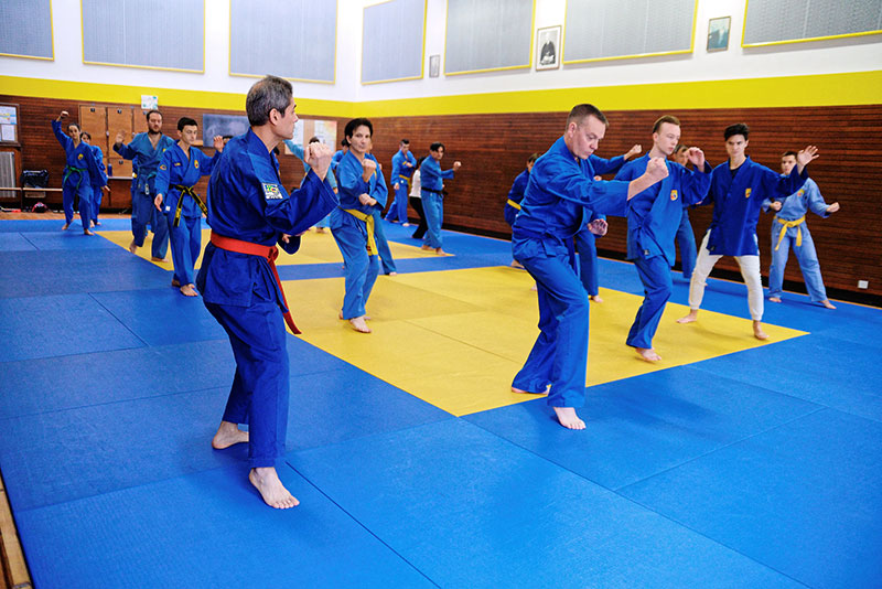Vovinam à l''étranger