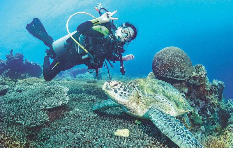 La plongée sous-marine