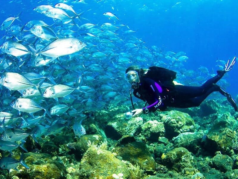 Koh chang plongee